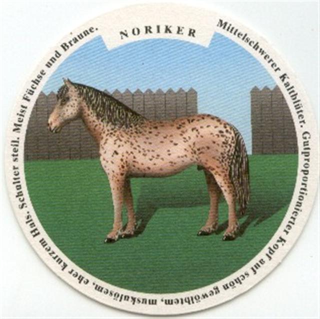 winterthur zh-ch haldengut pferde 4b (rund210-noriker)